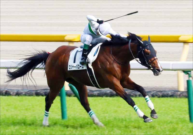 No.315 ロジャーバローズ: 名馬の名前に一言添えれば酒が呑める